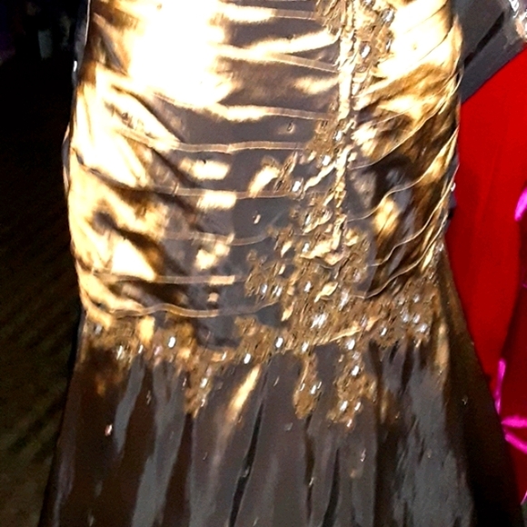 Rina DiMontella Silk Gown - Picture 8 of 10